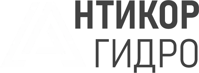 antikorgidro.ru